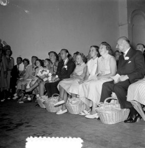 Carnavalsstemming Soestdijk bezoek Limburgers, Bestanddeelnr 905-9248
