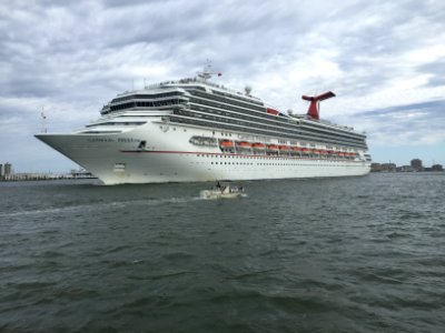 Carnivalfreedomgalvestonharbor