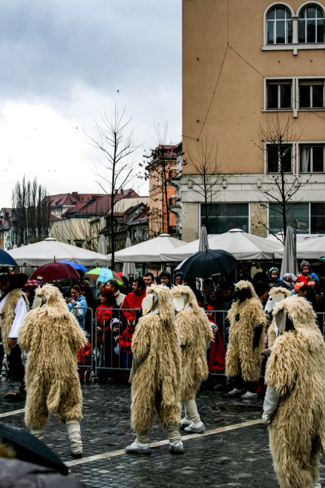 Carnival 2008-02-02 Ljubljana 10