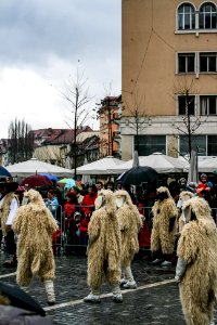Carnival 2008-02-02 Ljubljana 10