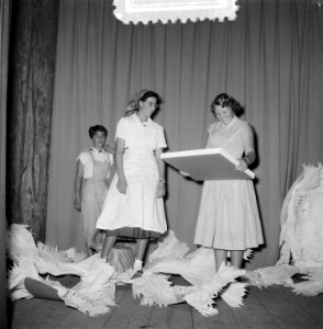 Carnavalsstemming Soestdijk bezoek Limburgers, Bestanddeelnr 905-9265