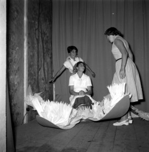 Carnavalsstemming Soestdijk bezoek Limburgers, Bestanddeelnr 905-9260