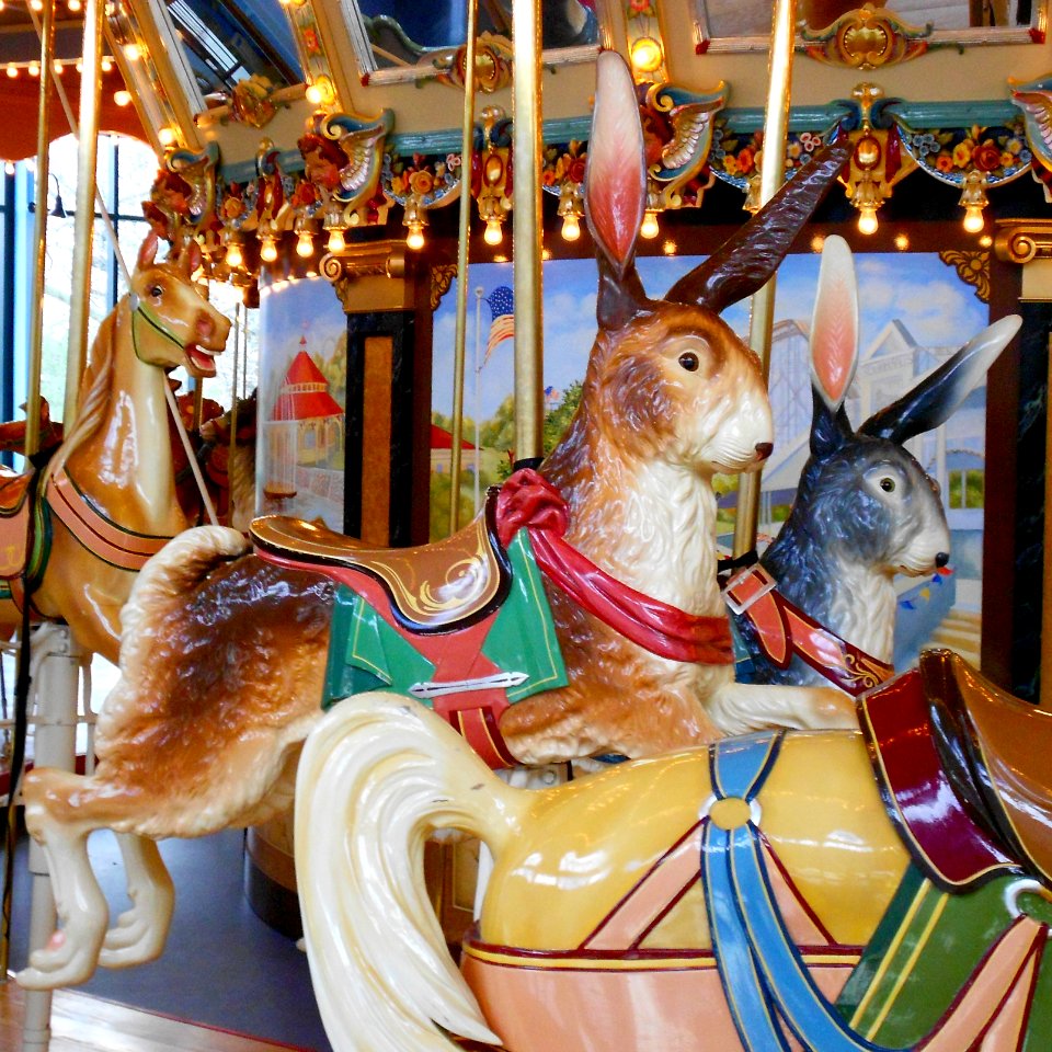 Carousel Rabbits Philly