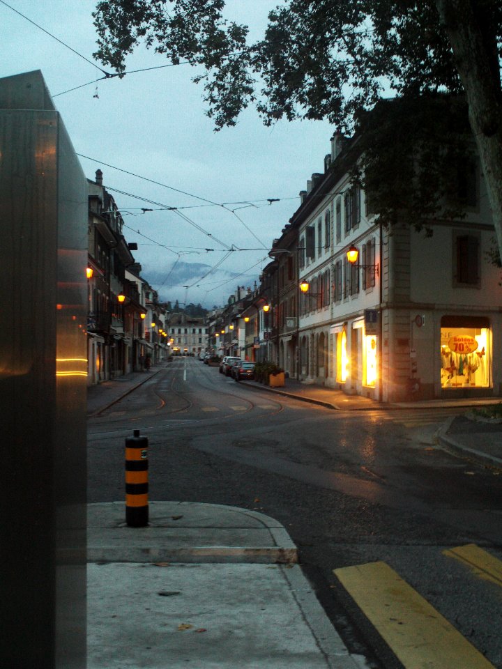 Carouge in the evening