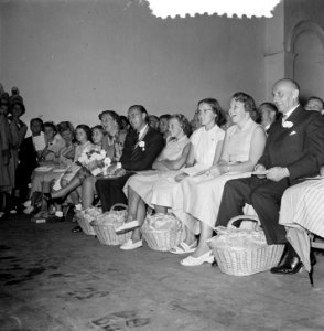 Carnavalsstemming Soestdijk bezoek Limburgers, Bestanddeelnr 905-9242