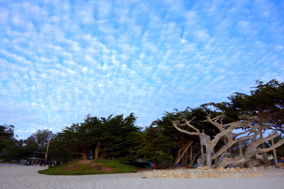 Carmel Beach, California - DSC07171