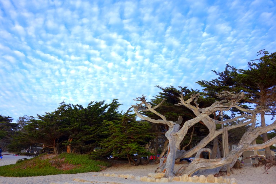 Carmel Beach, California - DSC07172