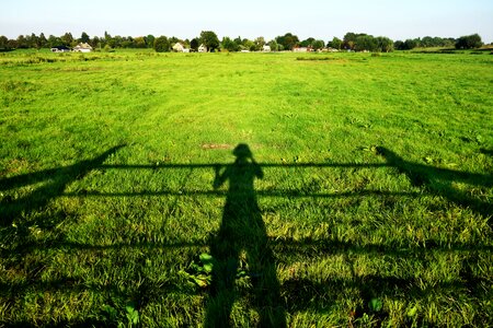 Field landscape skyline