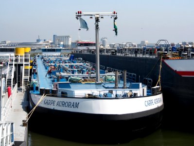 Carpe Auroram - ENI 02333571, Geulhaven, Port of Rotterdam pic2