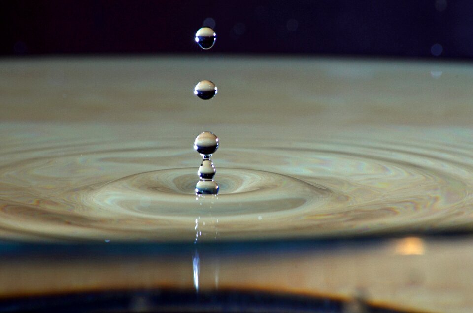 Rain macro close up