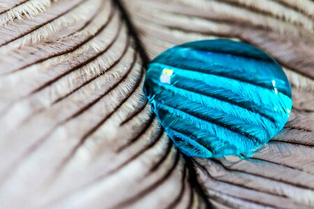 Close up macro background