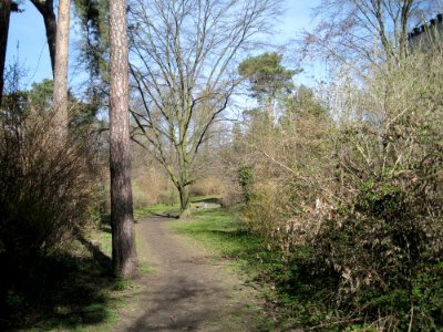Carl-Ludwig-Schleich-Promenade Berlin-Schmargendorf