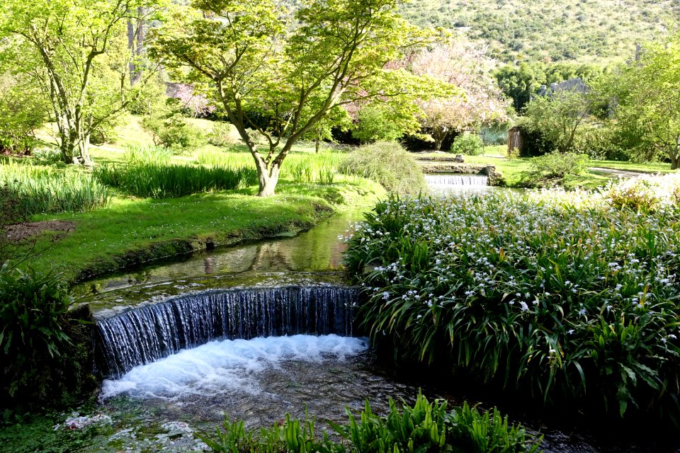 Cascade - Giardino di Ninfa, Italy - DSC02899