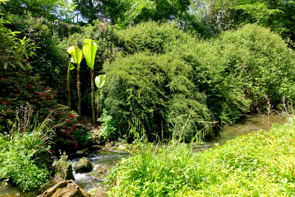 Cascade stream - Bowood - Wiltshire, England - DSC00482