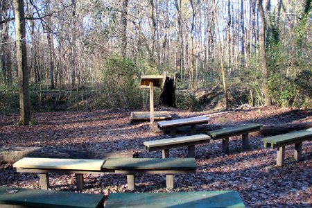 Cascade Springs Nature Preserve, Atlanta, December 2018 5