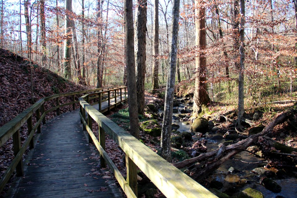 Cascade Springs Nature Preserve boardwalk, Atlanta, Dec 2018 2