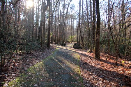 Cascade Springs Nature Preserve, Atlanta, December 2018 3