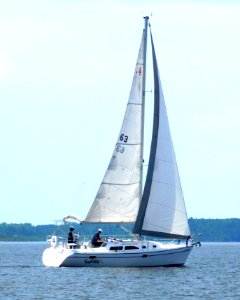 Catalina 310 sailboat Sundog 1245