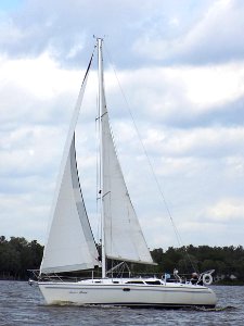 Catalina 310 sailboat Forever Young 2736