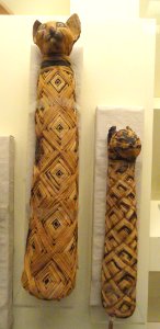 Cat mummies, Egypt - Royal Ontario Museum - DSC09743