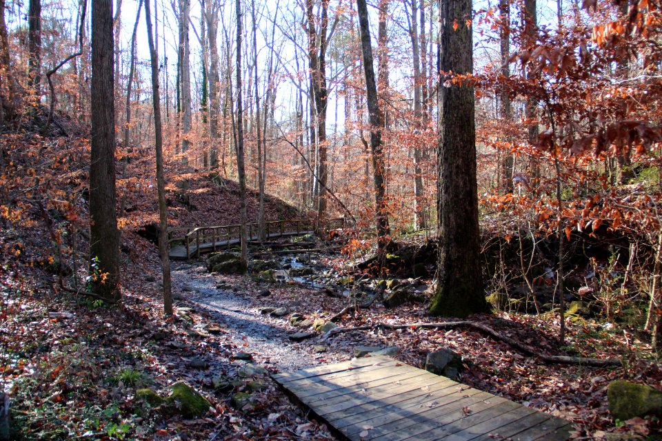 Cascade Springs Nature Preserve boardwalk, Atlanta, Dec 2018 1
