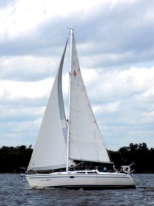Catalina 310 sailboat Forever Young 2737