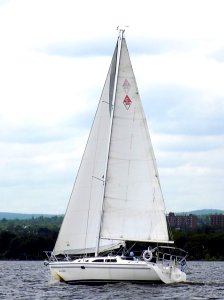 Catalina 310 sailboat Forever Young 2738
