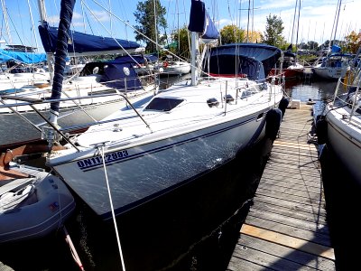 Catalina 320 sailboat 4177
