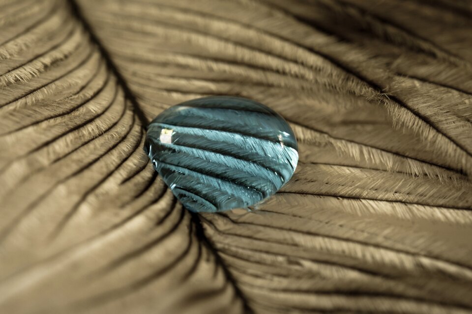 Close up macro background