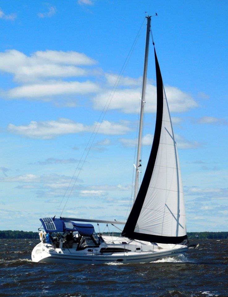 Catalina 309 sailboat Official Business 2452