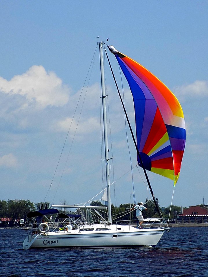 Catalina 28 Mark II sailboat Cariad under spinnaker 3795
