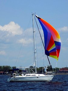 Catalina 28 Mark II sailboat Cariad under spinnaker 3795