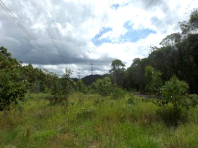 Casuarina Trail and power pylons in Karawatha Forest