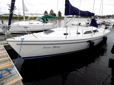 Catalina 310 sailboat Forever Young 2678