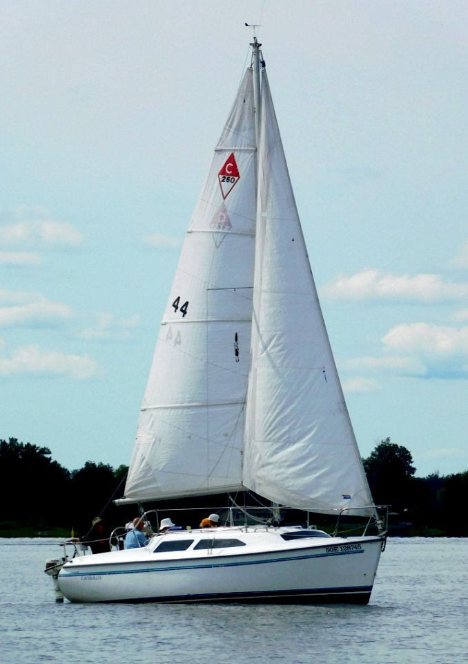 Catalina 250 sailboat Cashalo 2649