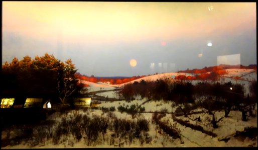 Case 19 - Dioramas in the Fisher Museum (Harvard Forest) - DSC07312