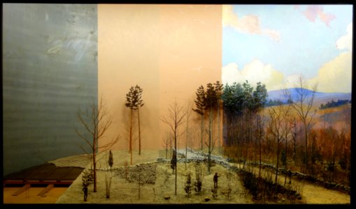 Case 23 - How the models were made, stages in construction - Dioramas in the Fisher Museum (Harvard Forest) - DSC07305
