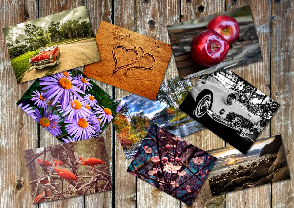 Nature collection together
