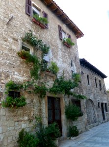 Case in pietra con edera in centro Poreč