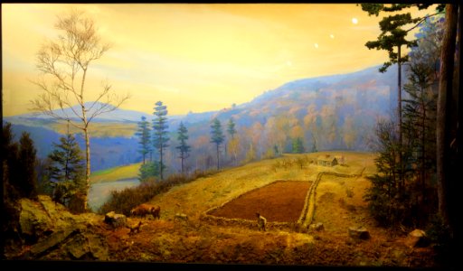 Case 02 - An Early Subsistence Farm (1740) - Dioramas in the Fisher Museum (Harvard Forest) - DSC07368