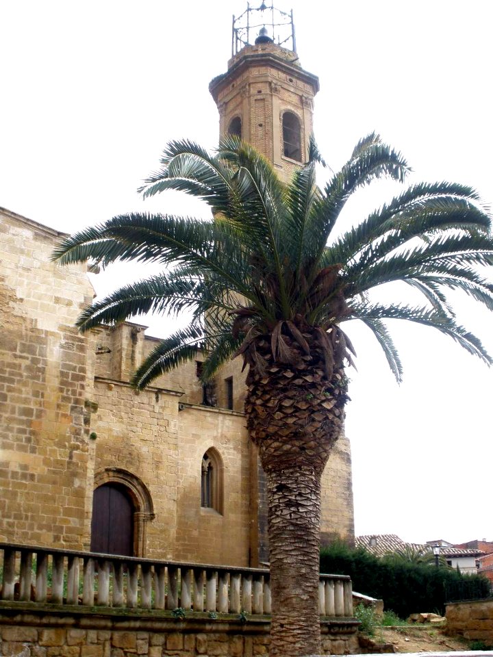 Caspe - Colegiata de Santa María la Mayor 04