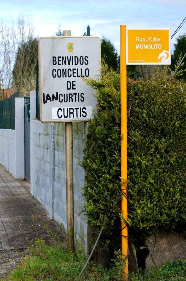 Cartel Lourdes Curtis