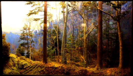 Case 01 - The Precolonial Forest (1700) - Dioramas in the Fisher Museum (Harvard Forest) - DSC07371