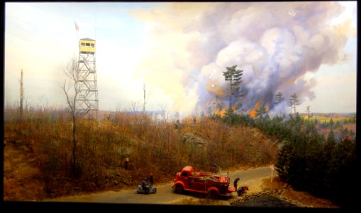 Case 21 - Dioramas in the Fisher Museum (Harvard Forest) - DSC07309