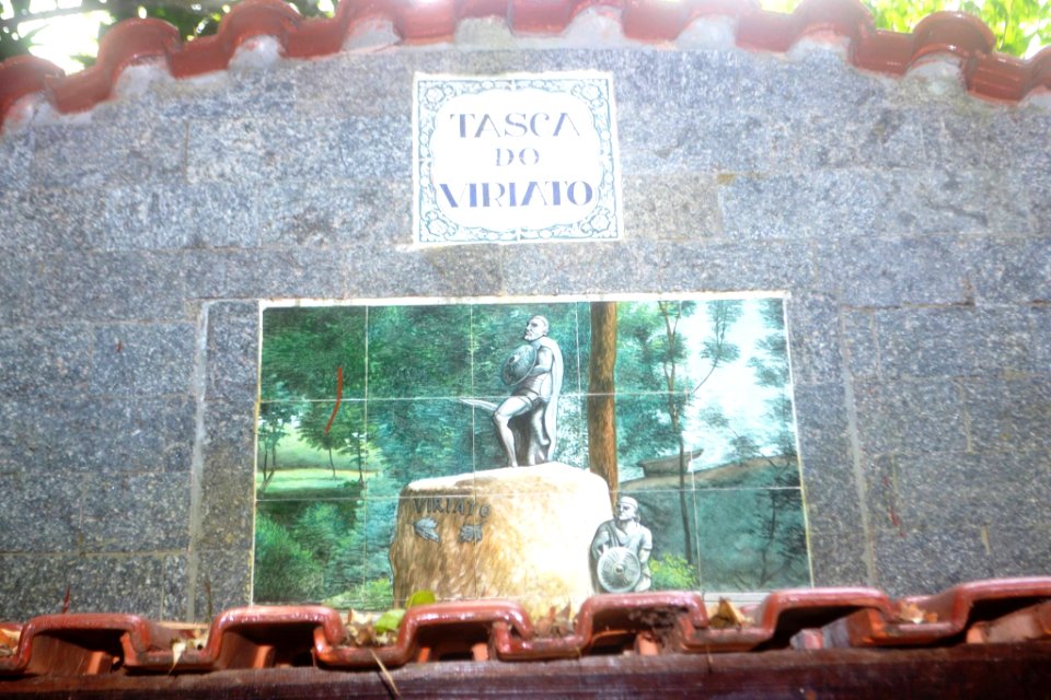 Casa de Viseu Campestre Tasca