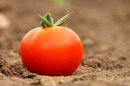 Weight loss of flesh health