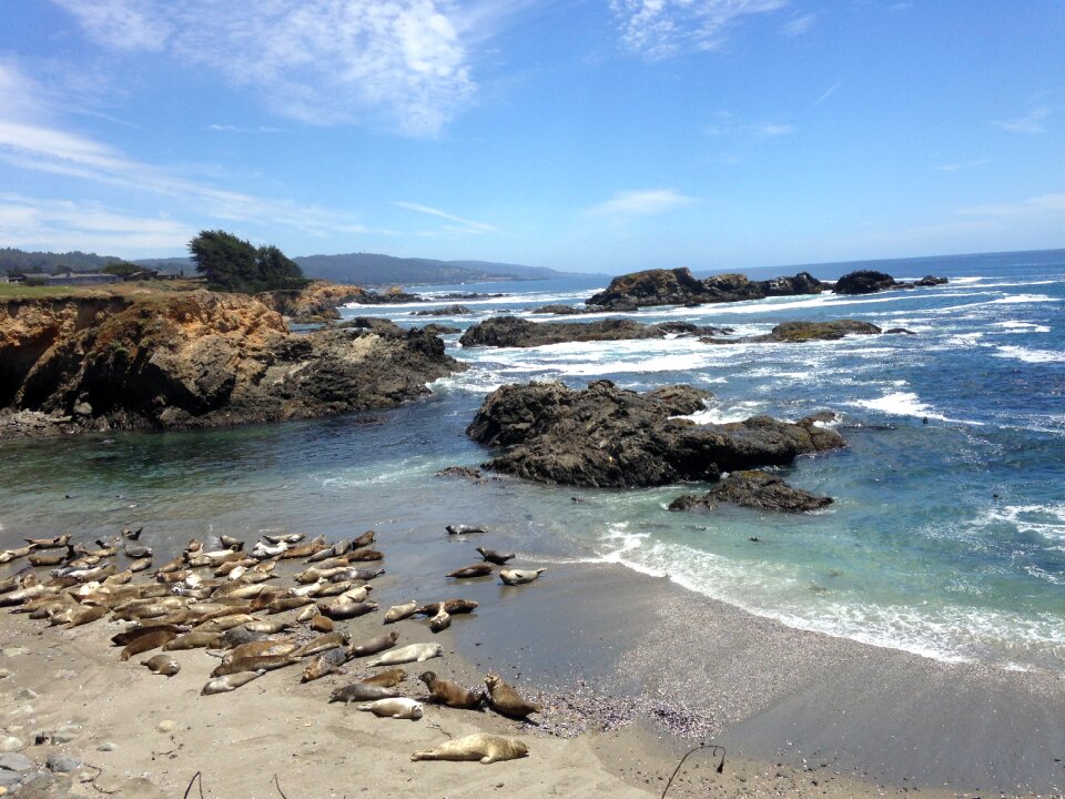 Coast beach nature photo