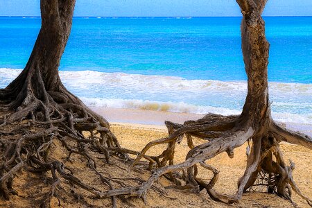 Beach sea tropical