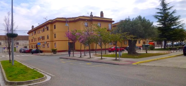 Castejón (Navarra) 06