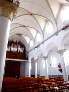 Castejón (Navarra) - Iglesia de San Francisco Javier, interior 15